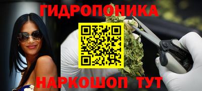 прущие крисы Аша