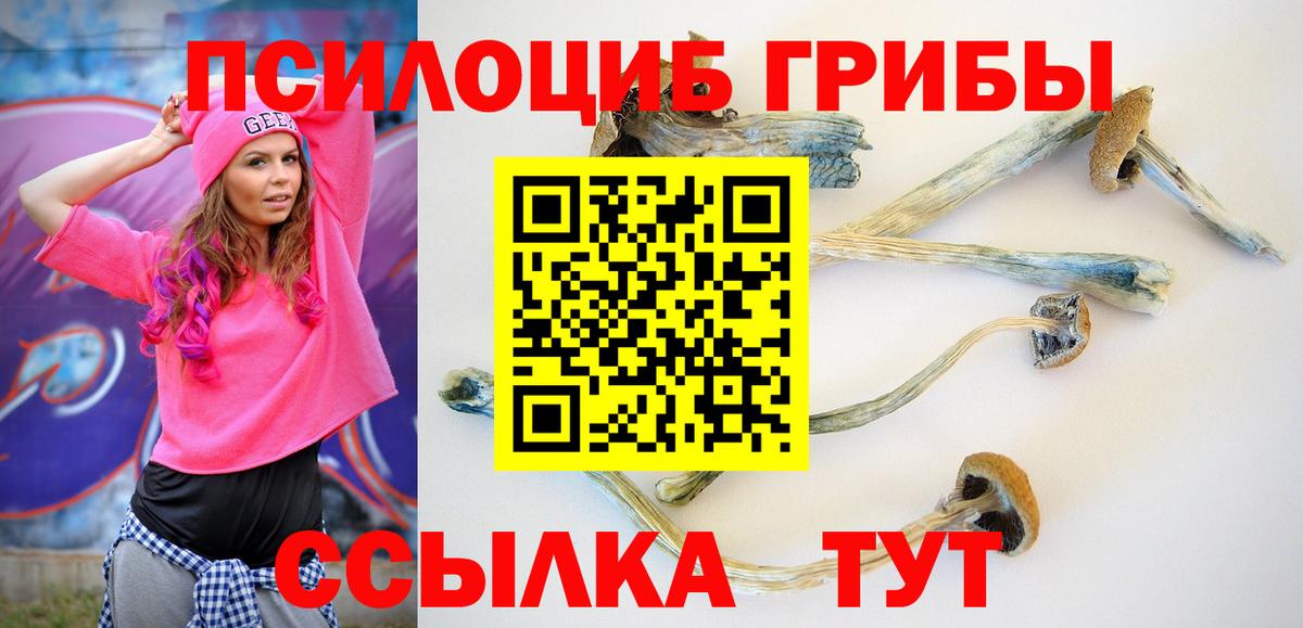 закладки  Вход с VPN  Анапа  Псилоцибиновые грибы ЛСД 